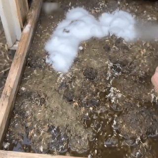 Waterless Carpet Foam Stain Remover with Towel