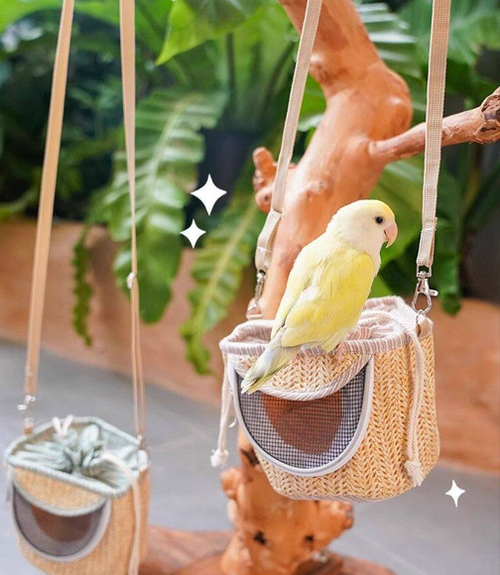🎉 Second Piece OFF 30%🦜 Take Your Bird Out Like Bringing a Little Cozy Nest