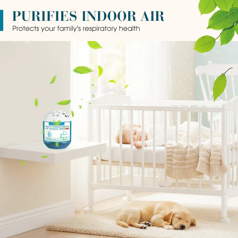 🖤Black Friday Sale:40% OFF🖤Indoor Air Purification Dust Removal Magic Box🏠🌿